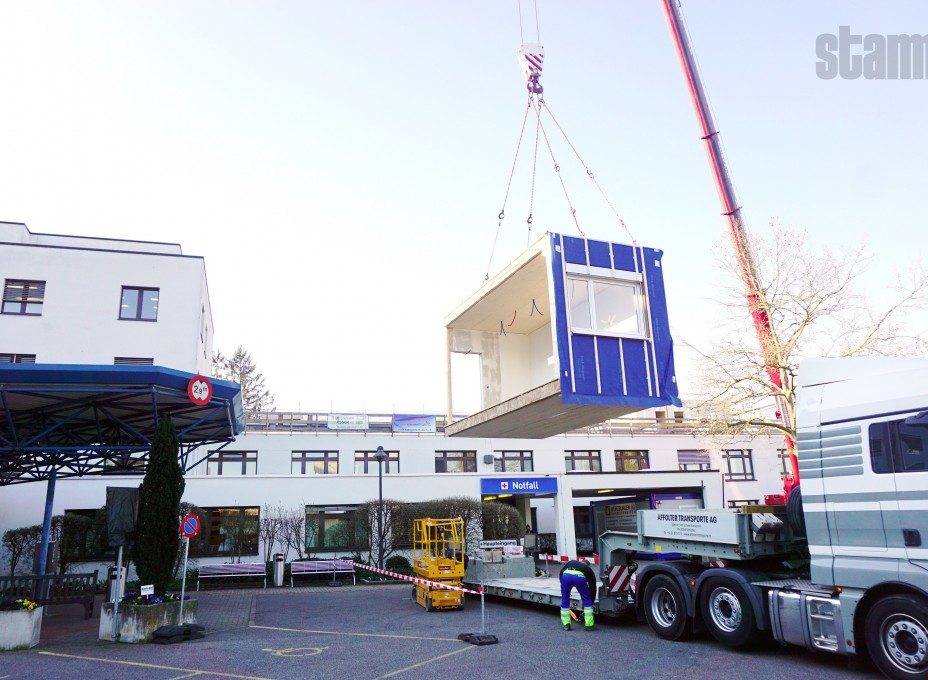 Holz und elementbau Stamm