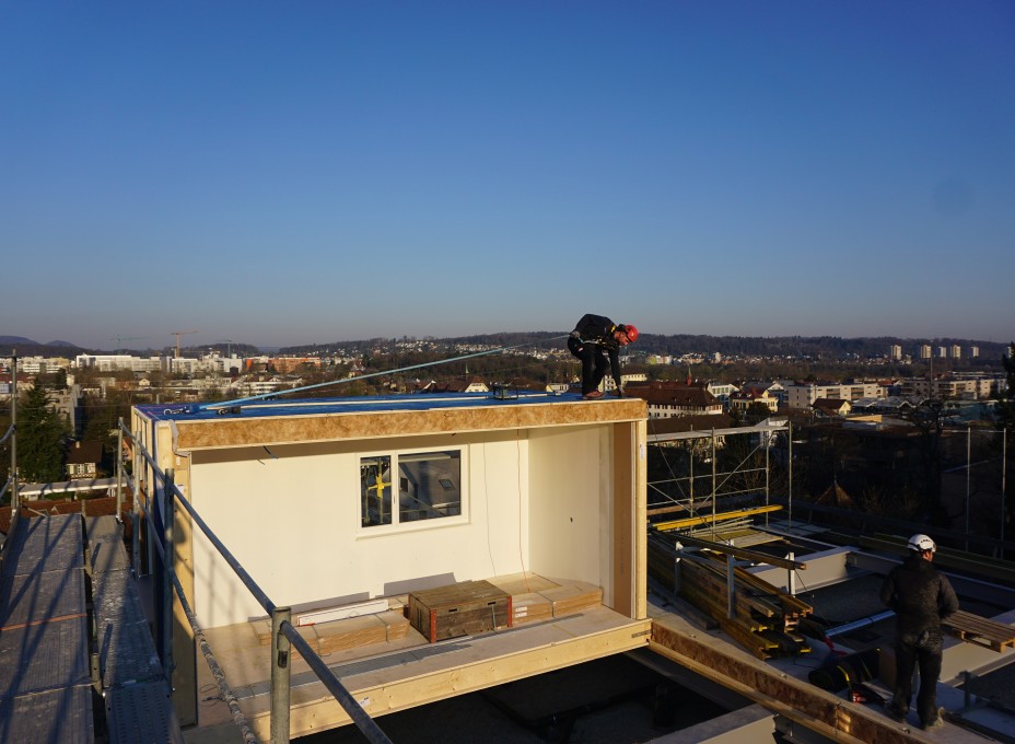 Holzmodulbau Stamm