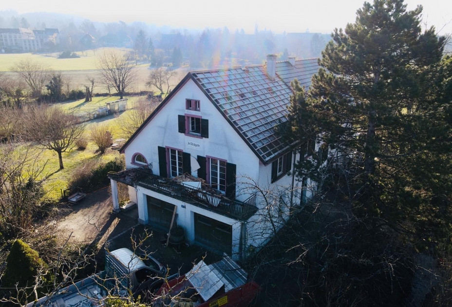 Erlenstraesschen180122 2