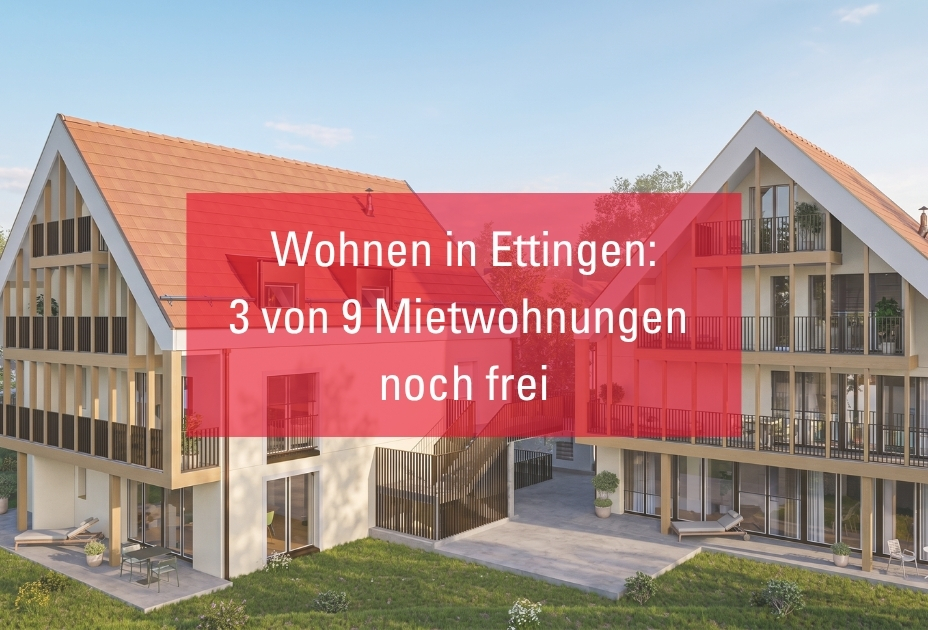 Stoerer Bild Homepage v2