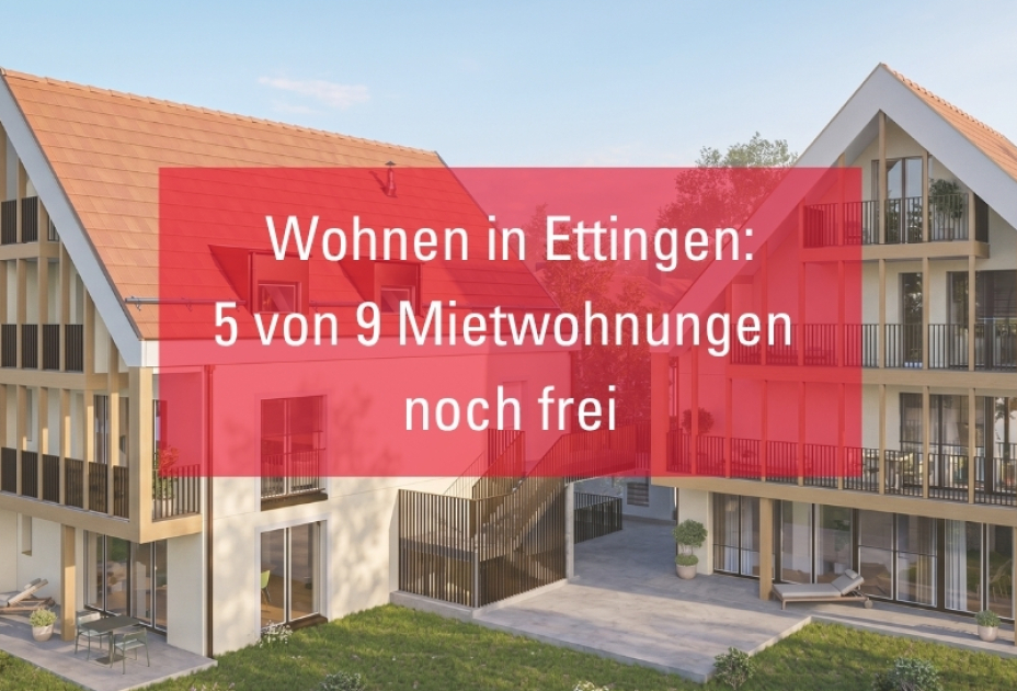 Stoerer Bild Homepage