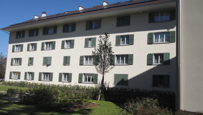 Satteldach Holzelementbau_wohnen&mehr, Basel