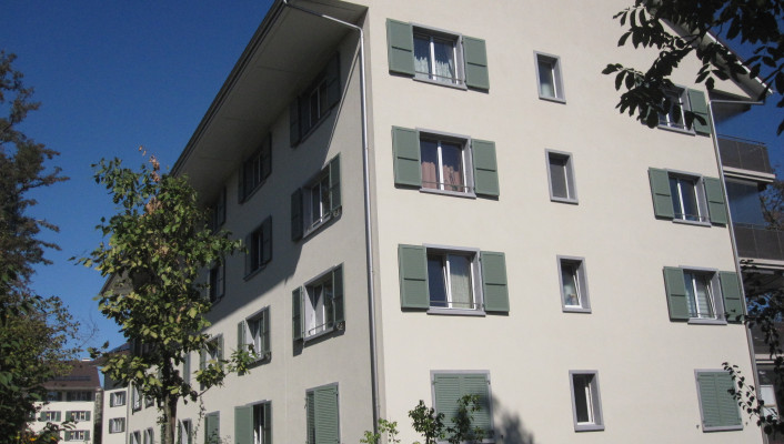 Satteldach Holzelementbau_wohnen&mehr, Basel