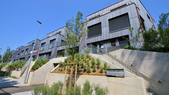 Holzelementbau_Holzbau_Inzlingerstrasse Riehen