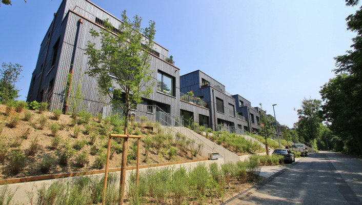 Holzelementbau_Holzbau_Inzlingerstrasse Riehen