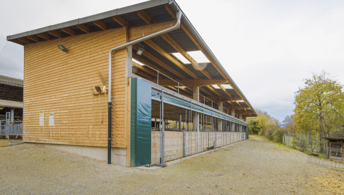 Neubau, St. Margarethengut Binningen, 2