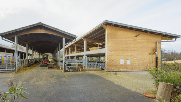 Neubau, St. Margarethengut Binningen, 4