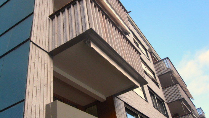Fassadensanierung Holzbau_Zolli Zoo Basel