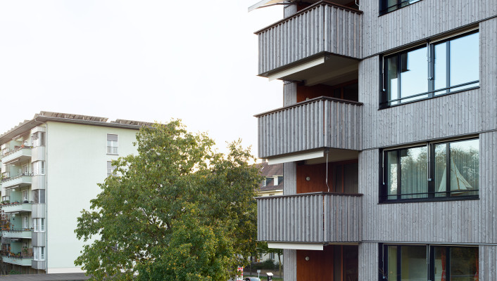 Fassadensanierung Holzbau_Zolli Zoo Basel